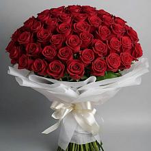 Букет 101 Красная роза Блэк Мэджик в Чуфарово