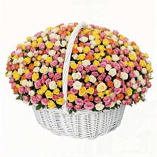 Премиум букет из: Розы в Чуфарово