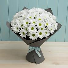 Букет цветов из:  Хризантемы в Чуфарово