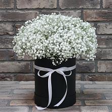 Цветочная композиция из Гипсофила в шляпной коробке в Чуфарово