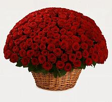 Премиум букет из: Розы #REPLACE_PRED# Чуфарово